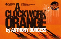 Clockwork Orange_732x471