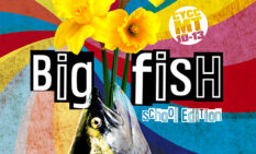 Big Fish School Edition_Featured_560x340